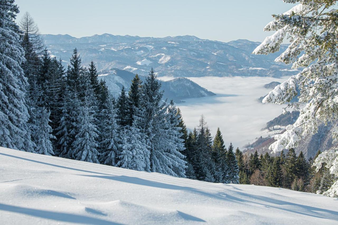 Prenocisca Cerkno Hostel Ngoại thất bức ảnh